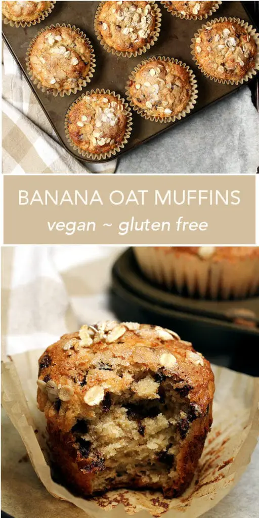 vegan gluten-free muffin pin