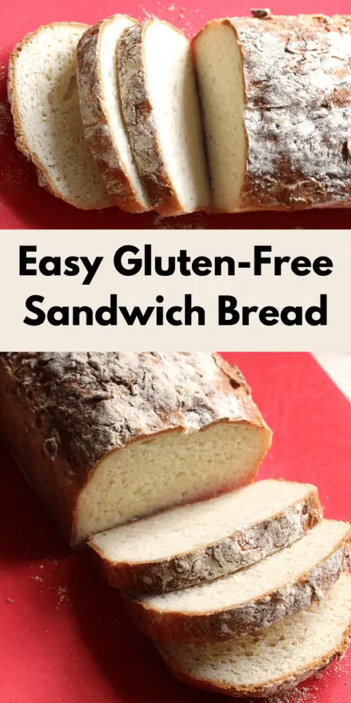 Easy Gluten-Free Vegan Bread Machine Loaf Recipe - Fresh is Real