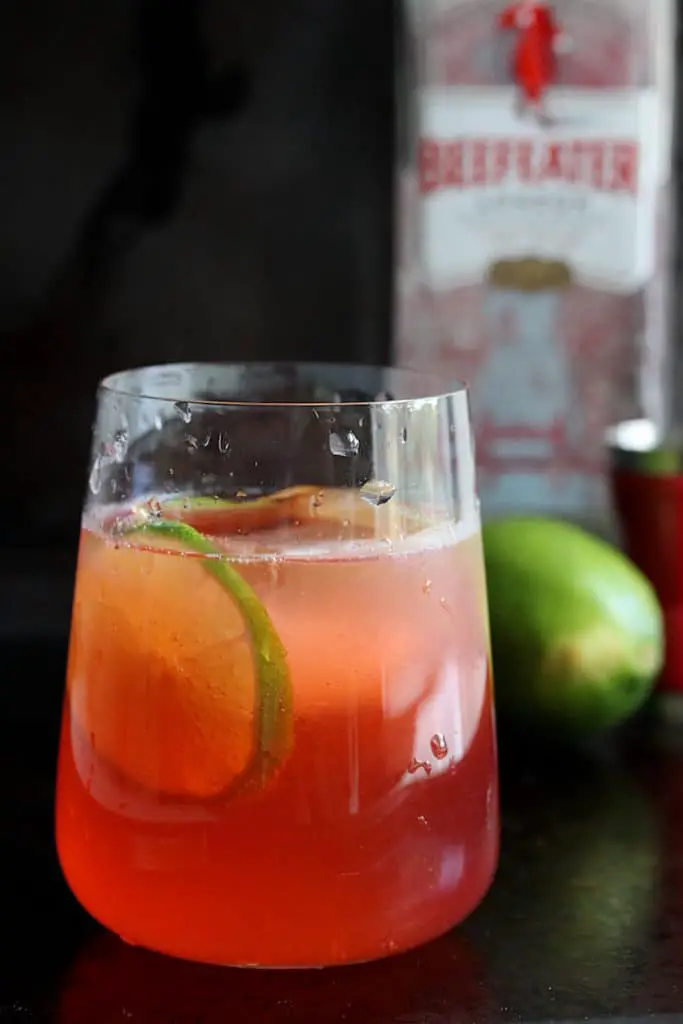 strawberry rhubarb gin and tonic cocktail