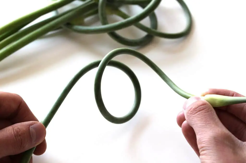image of garlic scapes that indicated what part of the scape should be used